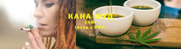 прущий лед Дмитриев