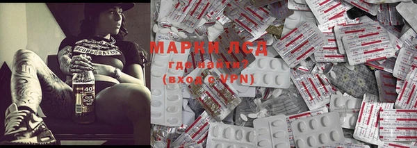 прущий лед Дмитриев