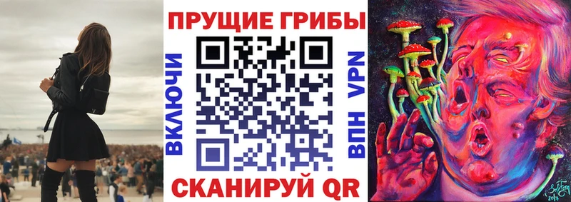 Галлюциногенные грибы Psilocybe  это официальный сайт  Чухлома  hydra tor 